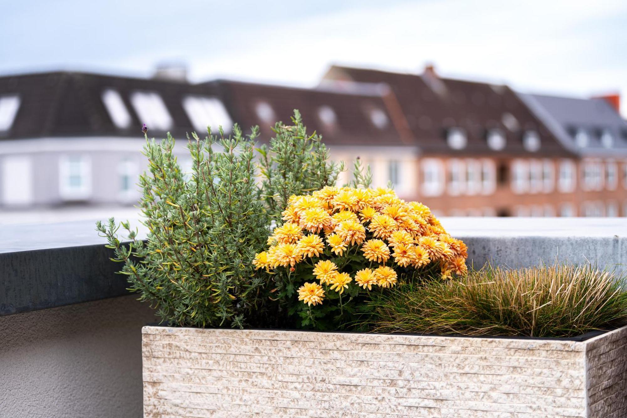Ferienwohnung Foerdeterrasse Nahe Kiellinie Buitenkant foto